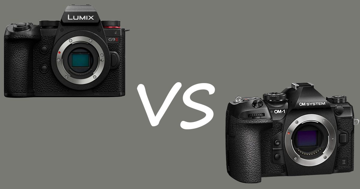 OM SYSTEM OM-1 Mark II vs Lumix G9 II – Melyik a jobb madárfotózáshoz és videózáshoz?